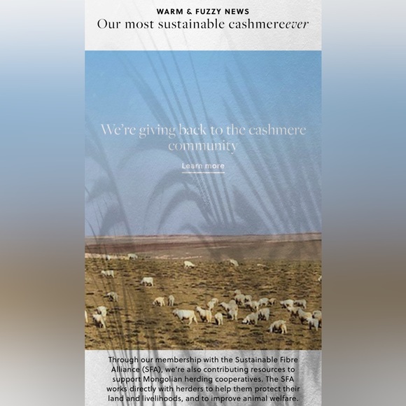 NWOT J. Crew Heather Grey 100% Cashmere  Cropped Boatneck Sweater, Size L - Picture 11 of 11